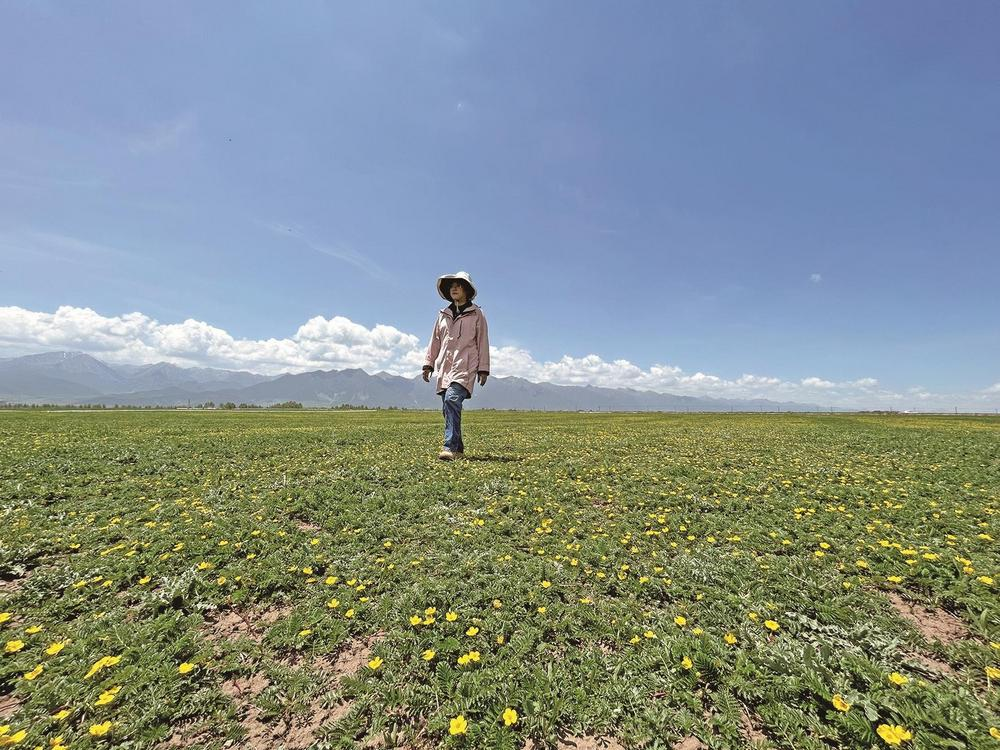 QQ圖片20240527062616