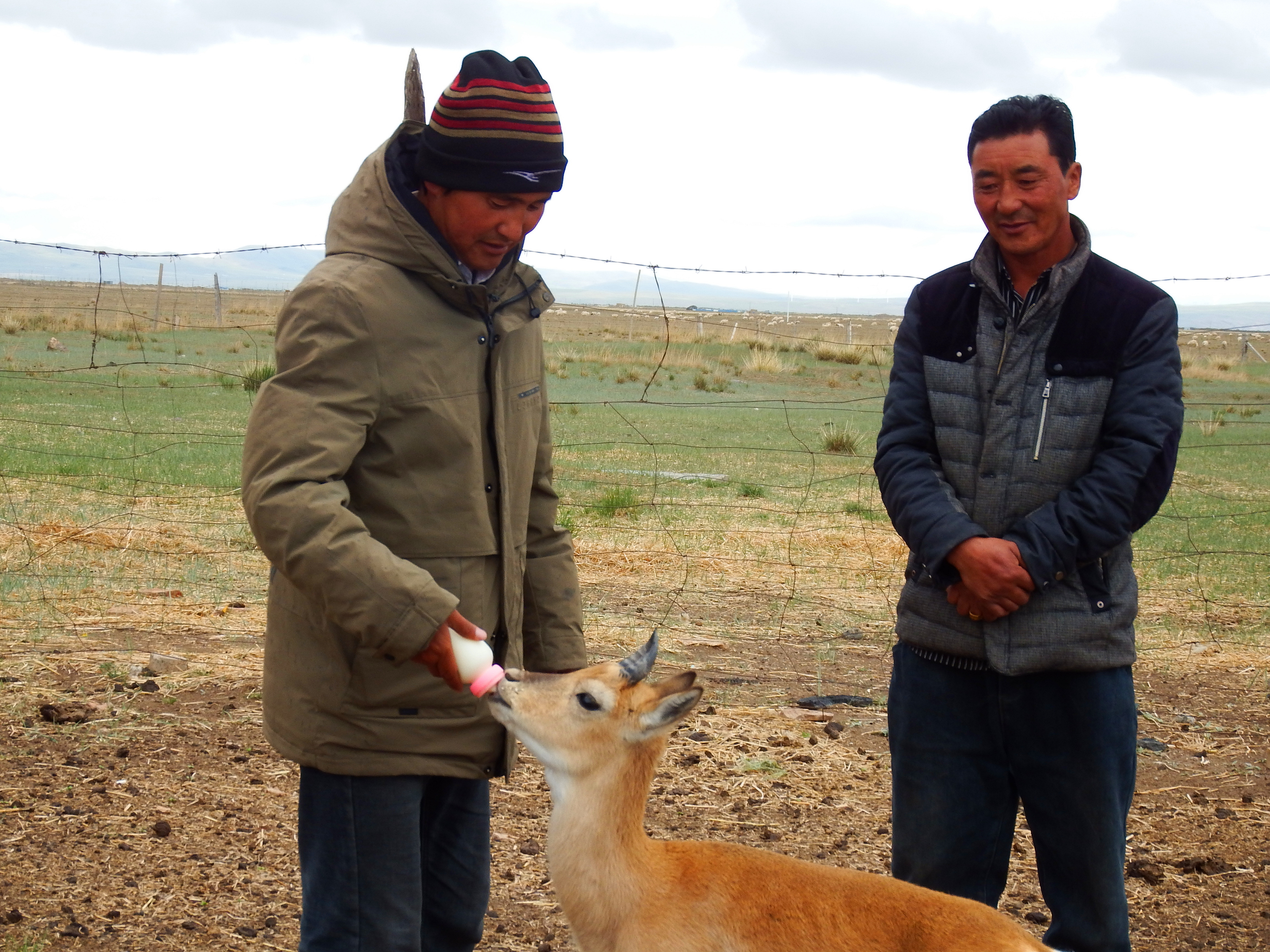 ̫ ϲ׌ֵ܂zcoԭ硰ܡ ιߞϲ׌