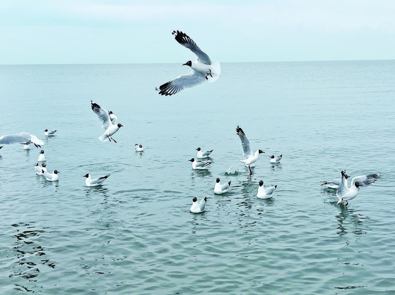 【新時代 新征程 新偉業·高質量發展調研行】 山靈水秀,從“一”說起…… ——高質量發展區域調研行·海北篇(上)