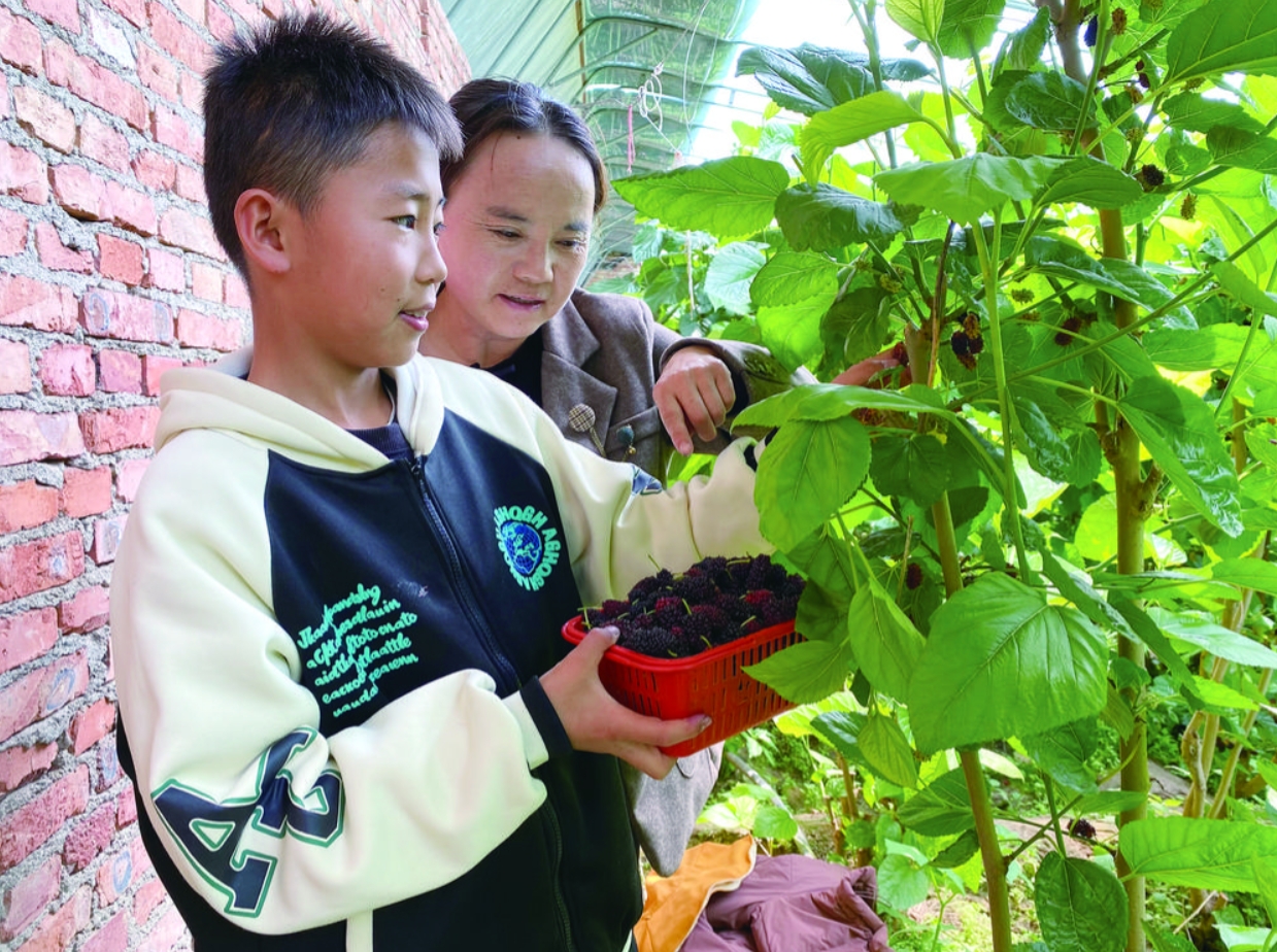 微信截圖_20240603063105