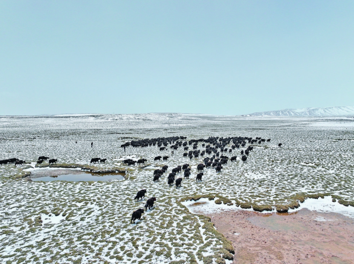 微信截圖_20240603064902