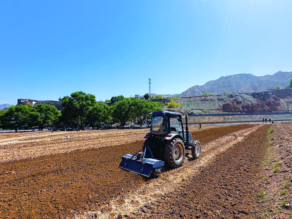 QQ�DƬ20240604061211