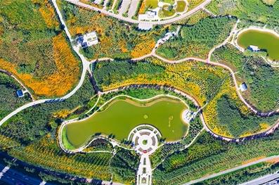 西寧市持續推進城市綠化工程 高原“綠谷” 青綠滿城