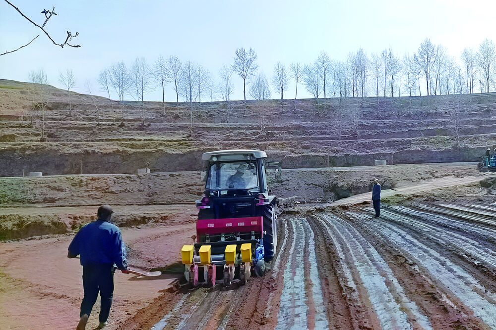 【鄉村振興在青海】糞污變廢為寶 生態經濟雙贏