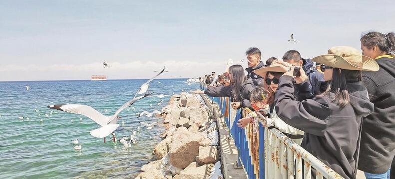 西寧上榜端午假期自駕游十大熱門目的地