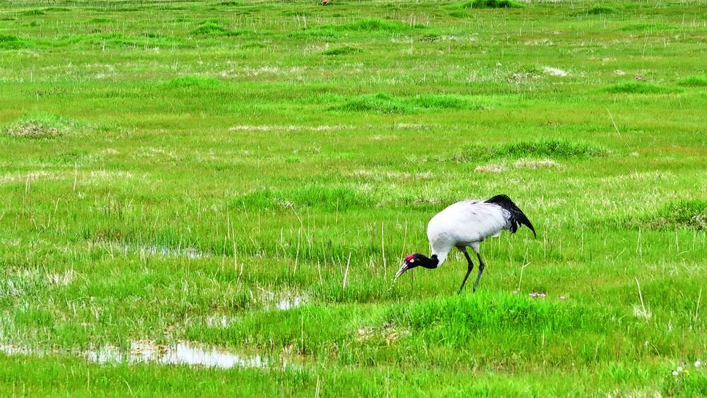 QQ圖片20240613055518