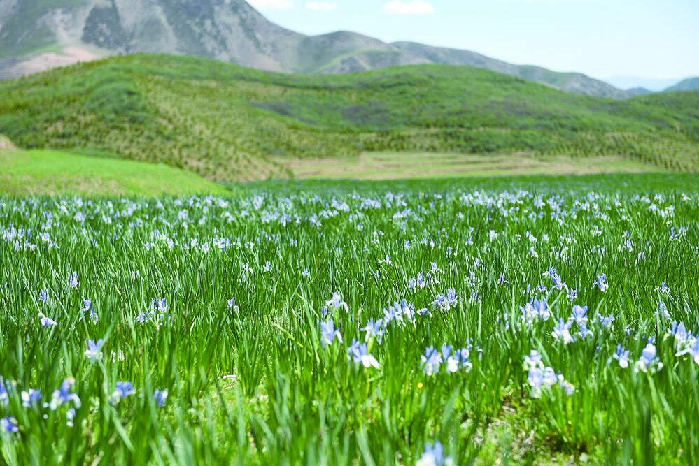 【新時(shí)代 新征程 新偉業(yè)·高質(zhì)量發(fā)展調(diào)研行】“浪”綠水青山 “賺”金山銀山——打造“綠水青山就是金山銀山”的實(shí)踐樣板系列調(diào)研之八