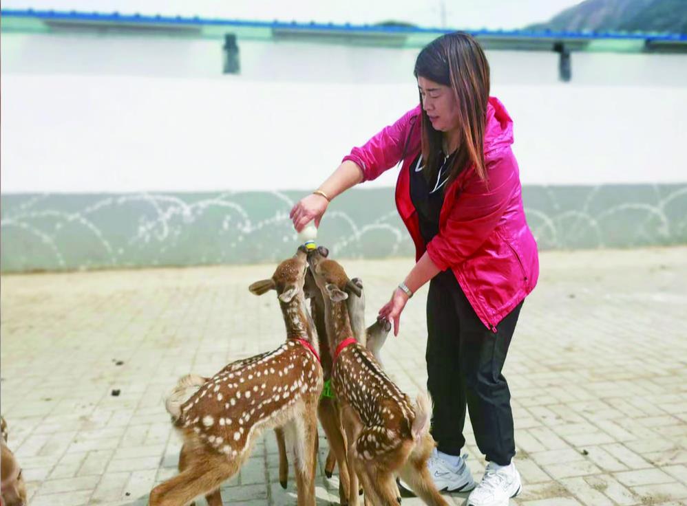 【黨旗在基層一線高高飄揚·黨旗輝映新征程 實干篤行在一線】青海湟中:云上群加 合力致遠