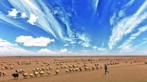 QQ截圖20240617062533