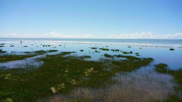 【牢記囑托 實干篤行】數說青海湖變化