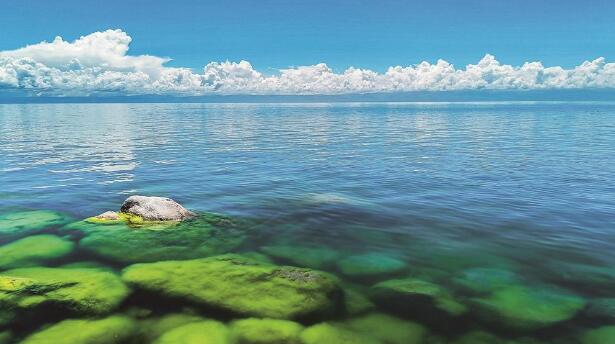 QQ截圖20240617065112