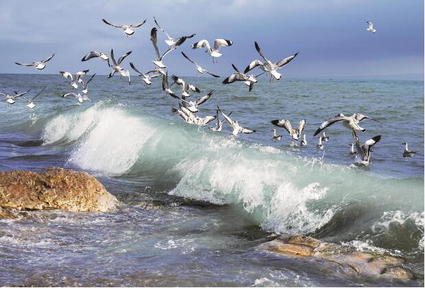 QQ截圖20240617065129