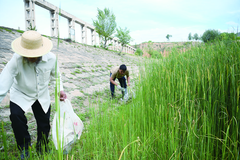 微信圖片_20240624063557