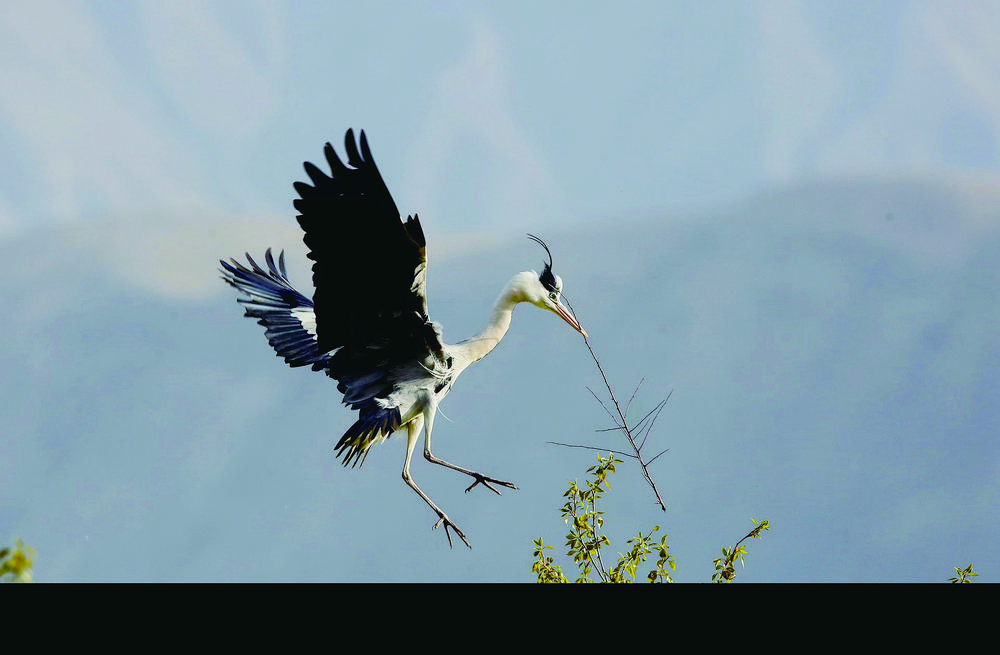 微信圖片_20240624063602