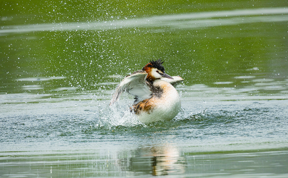 微信圖片_20240624063605