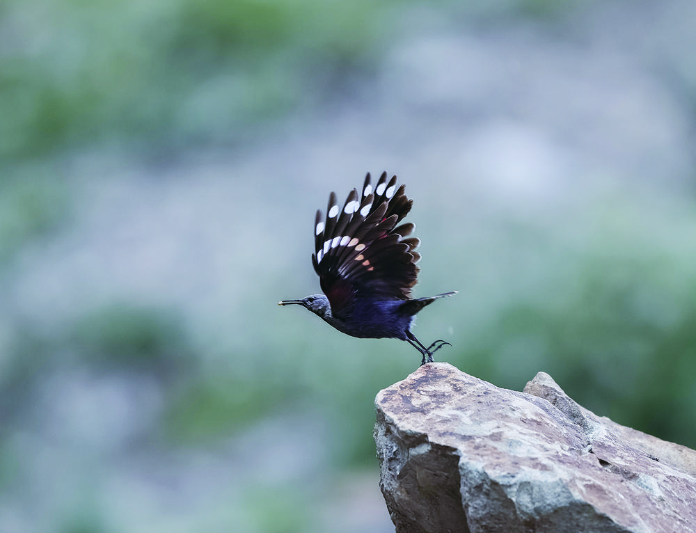 微信圖片_20240624063609