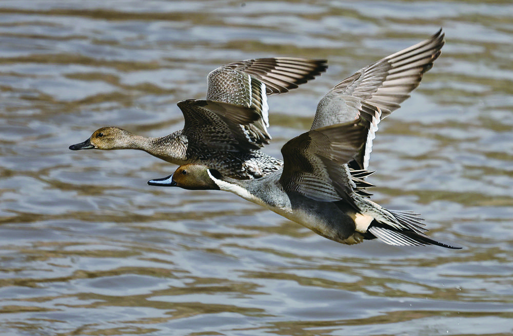 微信圖片_20240624063612