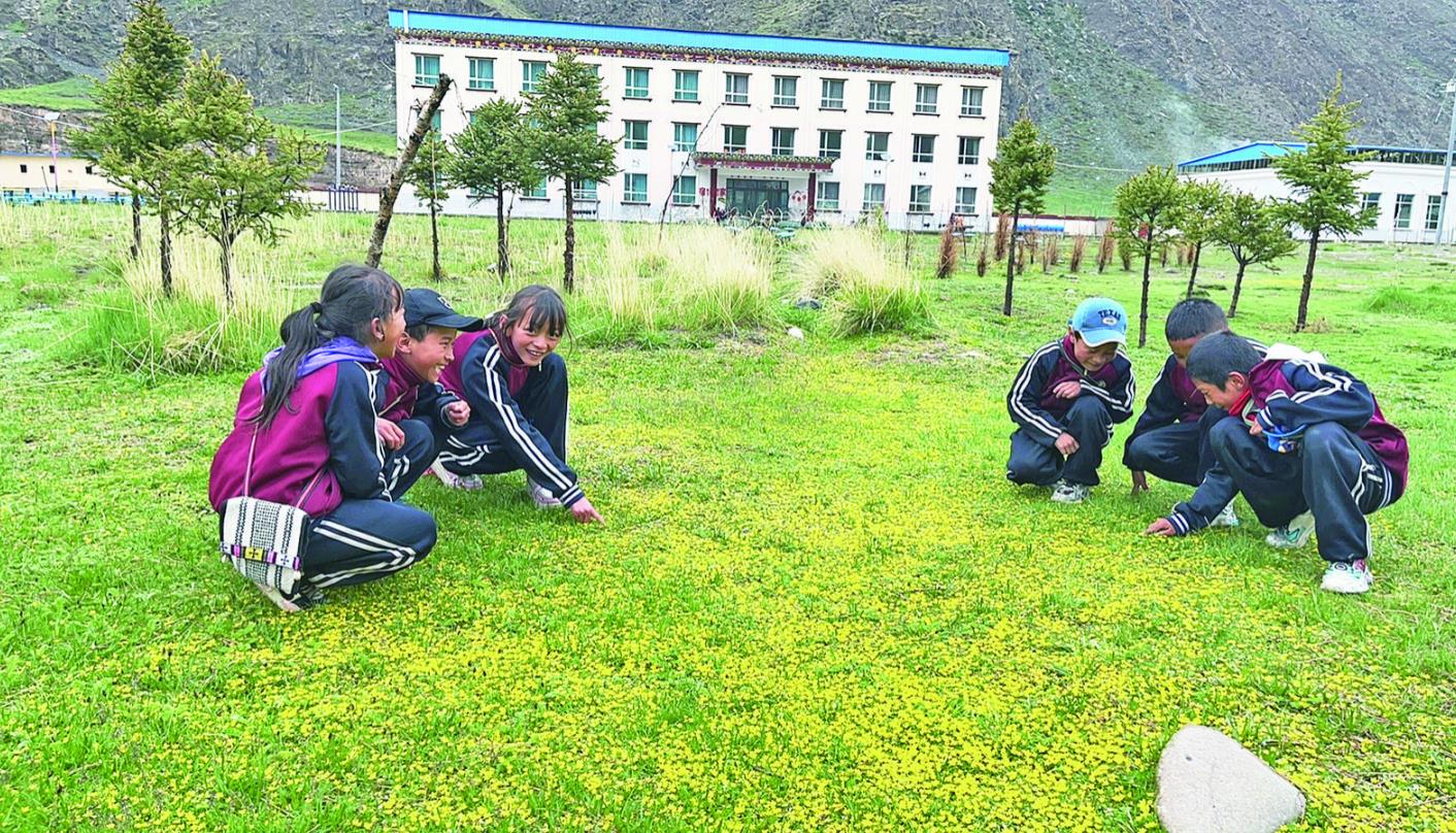【祖國好 家鄉美】在孩子心中植入綠色種子