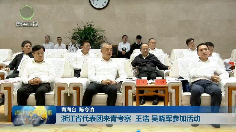 浙江省代表團來青考察 王浩 吳曉軍參加活動