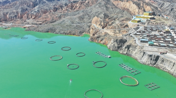 微信截圖_20240714070355