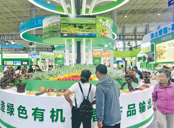 【開放合作 綠色發(fā)展——2024青洽會(huì)特刊·展會(huì)聚焦】熱銷 高原臻品期待值拉滿