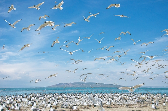 微信截圖_20240714074532