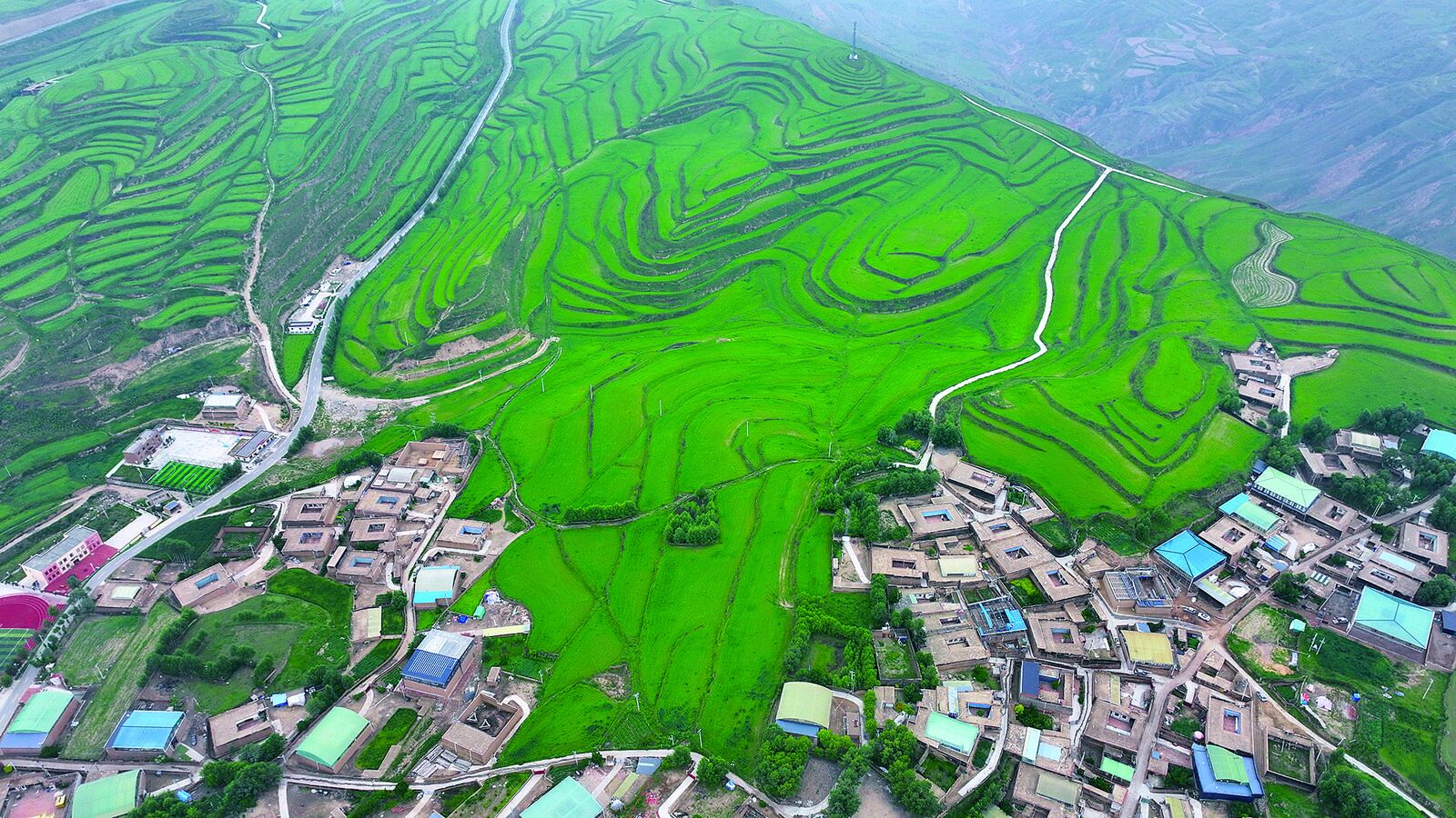 【黨旗在基層一線高高飄揚·黨旗輝映新征程 實干篤行在一線】躬耕希望的田野