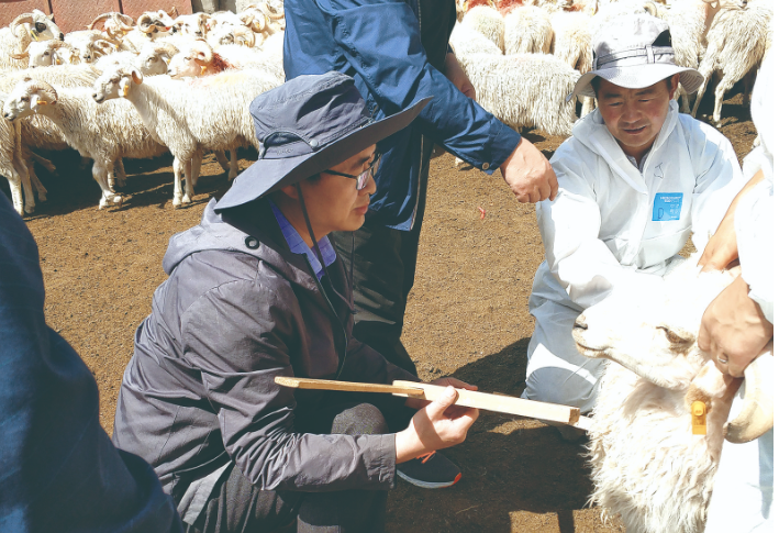 【身邊的感動】不負援青時光——記2024年第一季度“青海好人”周磊