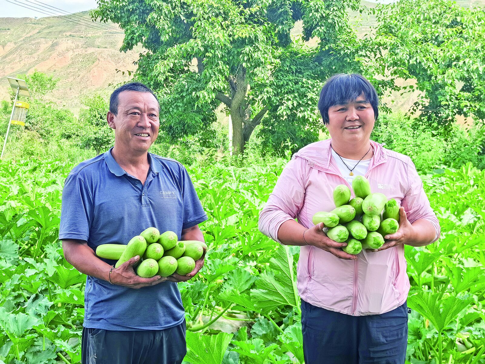 【農(nóng)經(jīng)觀察】鐵令梅和她的特色產(chǎn)業(yè)之路