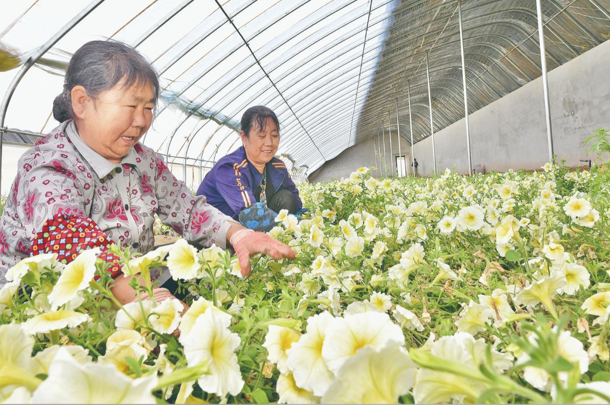 美了環境 富了鄉親