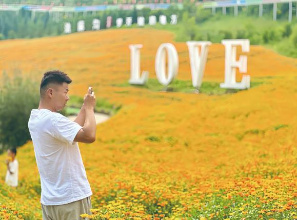 魅力花海引客來