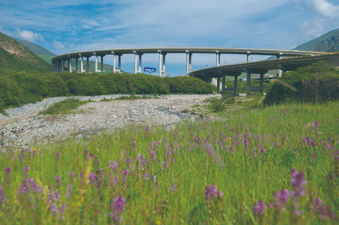 還水于河,只為黃河安瀾——青海省海南州“小水電”清理整改綜述