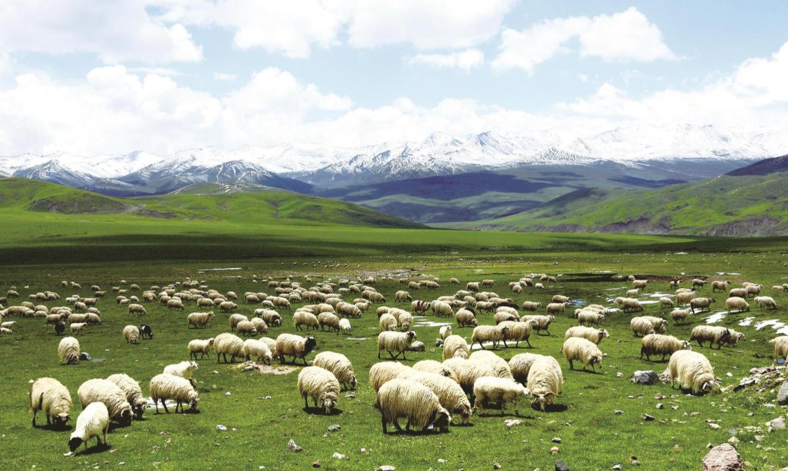 360截圖20240804064938543