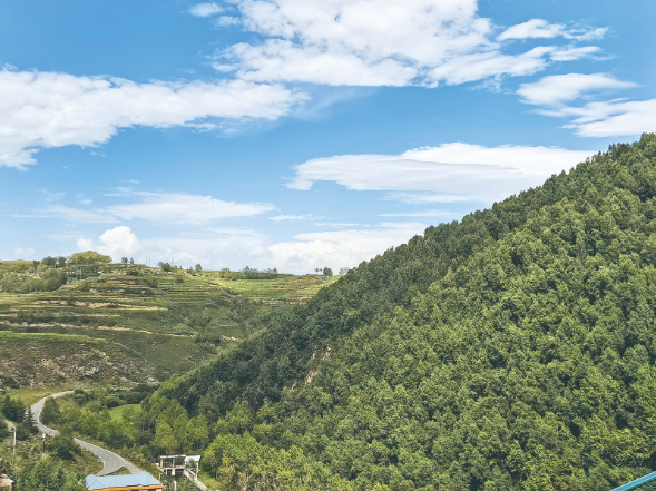 【牢記囑托 實(shí)干篤行 打造生態(tài)文明高地】規(guī)劃引領(lǐng)定航向 美麗青海展新顏