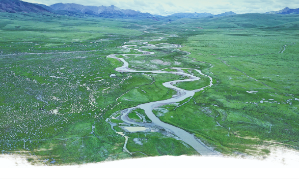 【生態(tài)觀察】瀾滄江畔追青逐綠