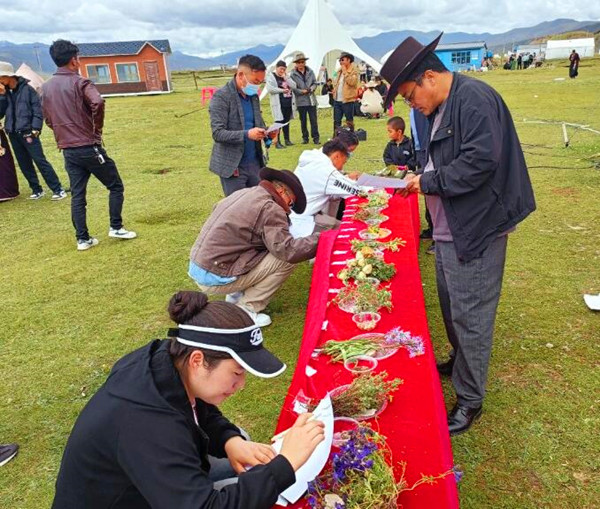 QQ截圖20240822183407_副本