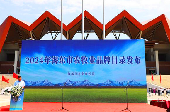 QQ截圖20240824194840_副本