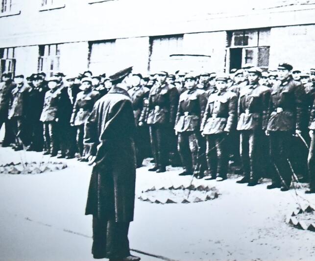 QQ截圖20240826061817