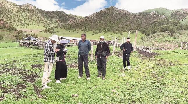 QQ截圖20240826070606