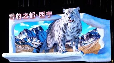 西寧街頭雪豹元素遍地開(kāi)花——“我在西寧遇豹豹”系列報(bào)道之三