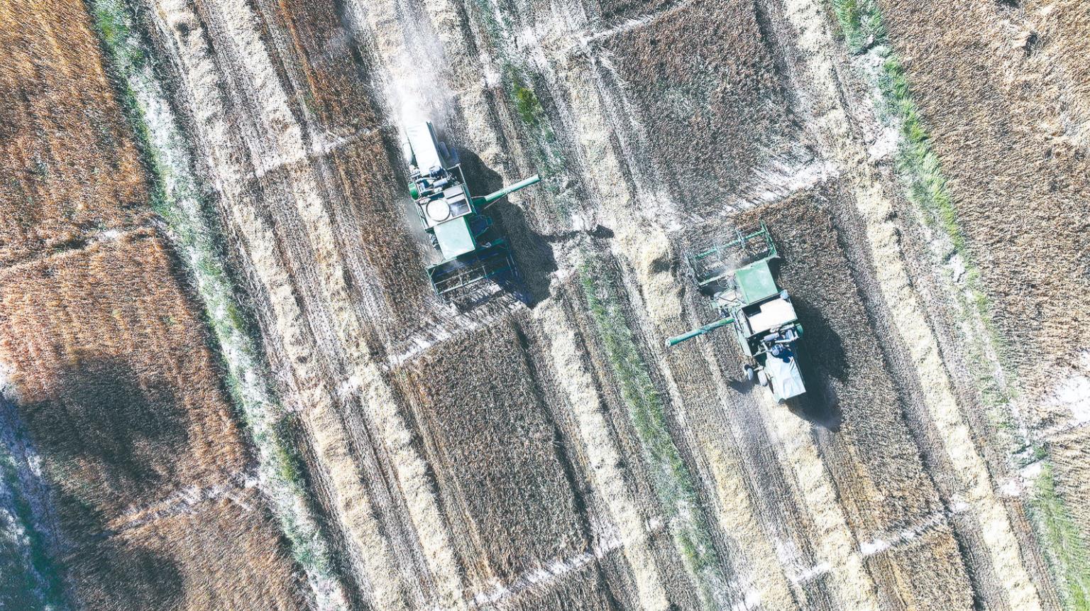 青海海西:機械轟鳴奏響柯魯柯鎮“秋收曲”