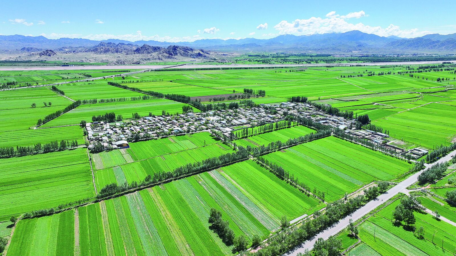 【新時代 新征程 新偉業(yè)·高質(zhì)量發(fā)展調(diào)研行】海西:戈壁灘上“長出”綠洲