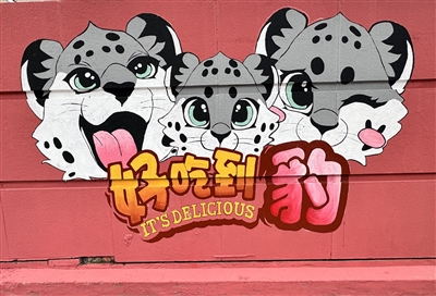 “雪豹之都”,西寧這樣煉成