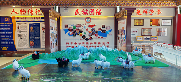 【奮進(jìn)強(qiáng)國路 闊步新征程】青海格爾木長江源村:民族團(tuán)結(jié)之花越開越艷