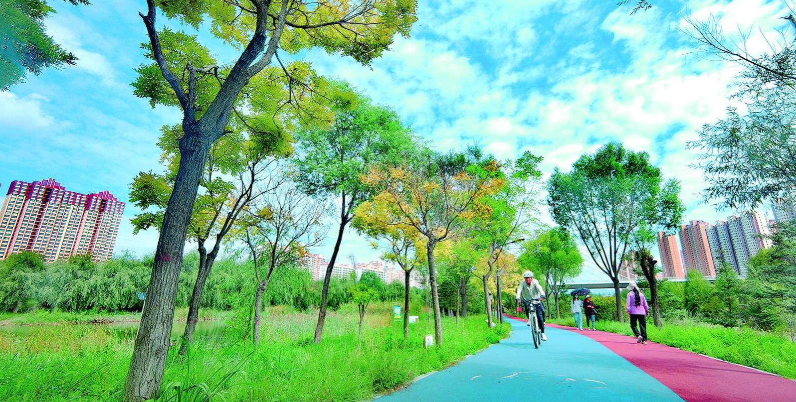 西寧湟水國家濕地公園秋景如畫
