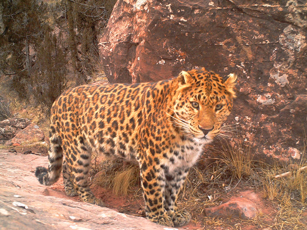 微信圖片_20240926163345_副本