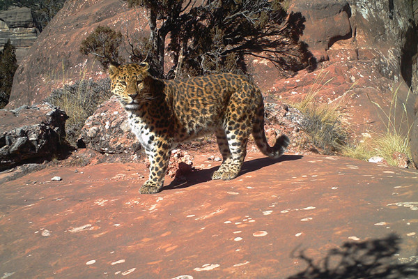 微信圖片_20240926163357_副本