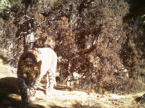 微信圖片_20240926163352_副本