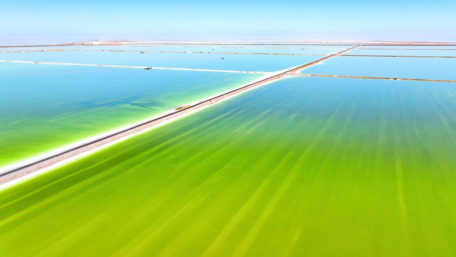 ຣM缉}aIؽOM}aI|lչຣʡ}aI|lչMlx