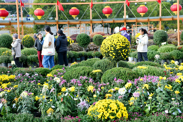 微信圖片_20241001130927_副本